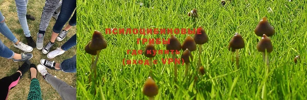гашиш Пересвет