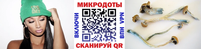 кракен   Бирюч  Галлюциногенные грибы Psilocybe  даркнет сайт 